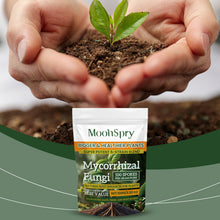 MoonSpry Organic Plant Root Enhancer Powder - Regenerative Marketplace