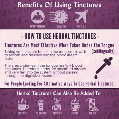 Ra Herbals Certified Organic Skullcap Tincture - Regenerative Marketplace