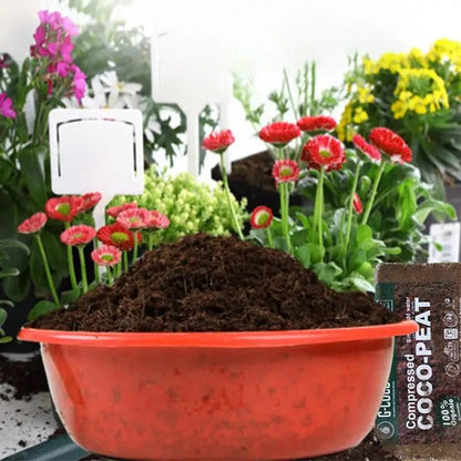 Coconut Coir Organic Coconut Fiber Substrate With Low EC And PH Balance Coconut Coir Bricks Coco Fiber Plant Soil High Expansion - Regenerative Marketplace