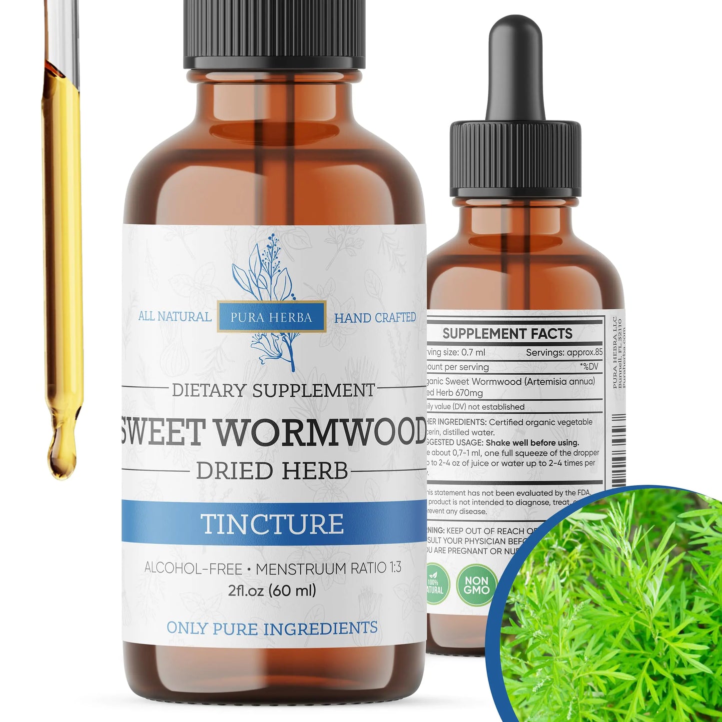 Organic Sweet Wormwood Liquid Drops - Natural Parasite Cleanse and Gut Detox Support for Adults - Vegan Alcohol-Free Made in USA 2 Fl Oz