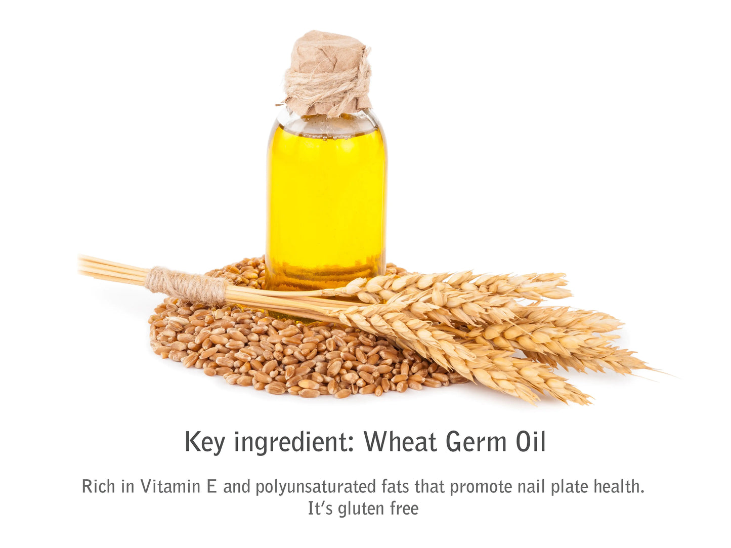 Organic nutritive body elixir melon and cucumber - Regenerative Marketplace