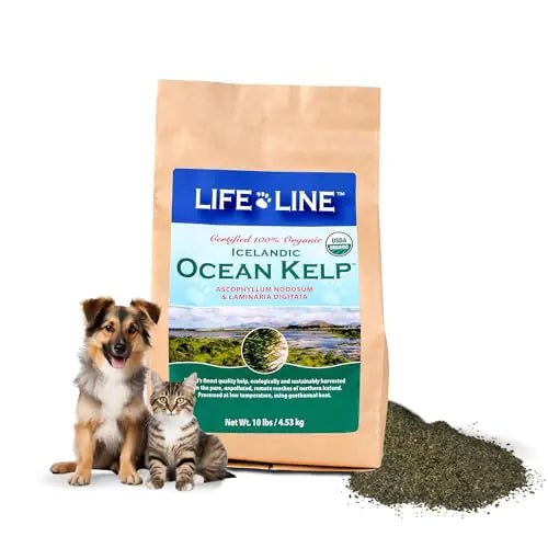 Organic Ocean KELP 10 LB - Regenerative Marketplace