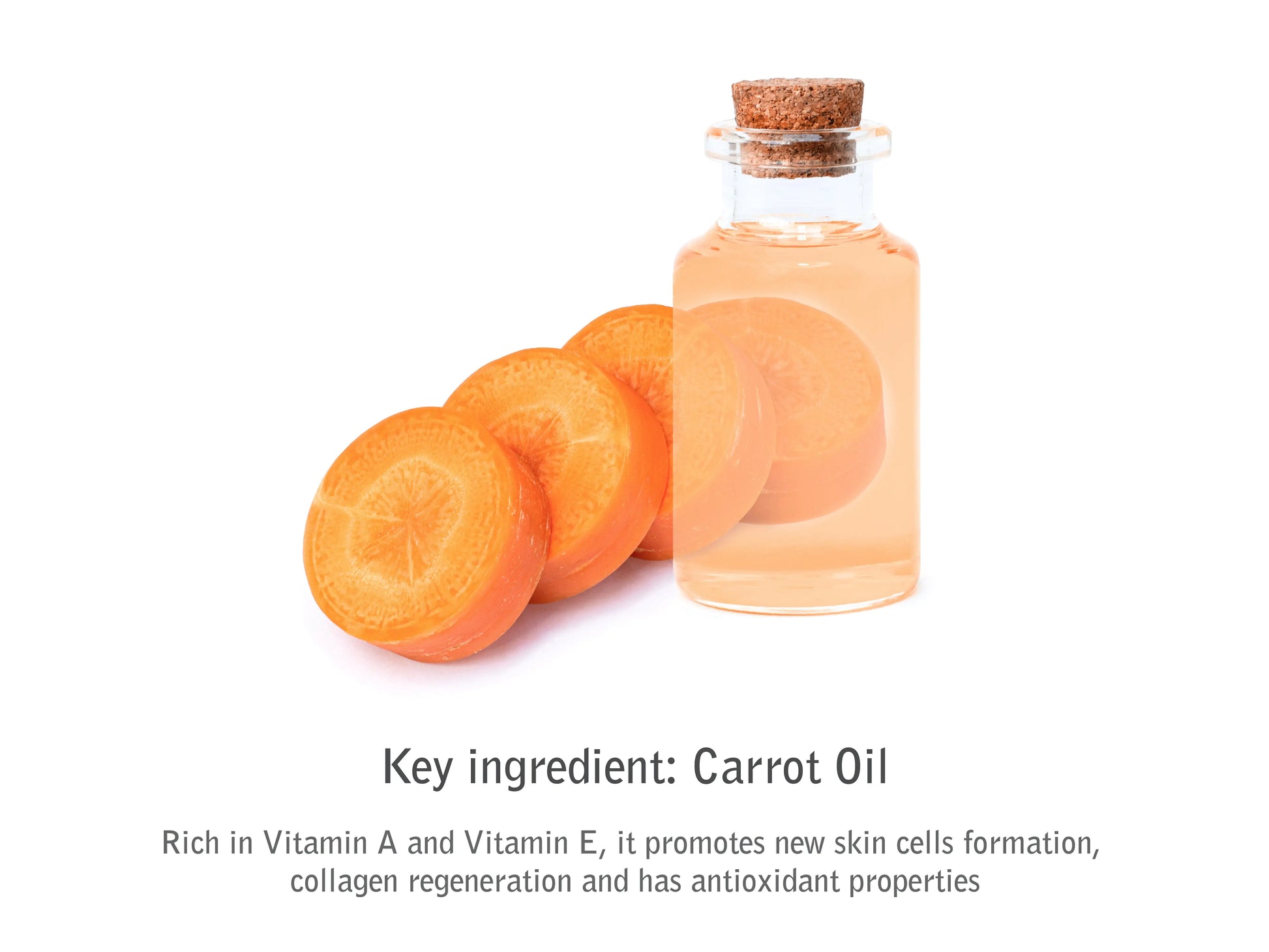 Organic nutritive body elixir melon and cucumber - Regenerative Marketplace