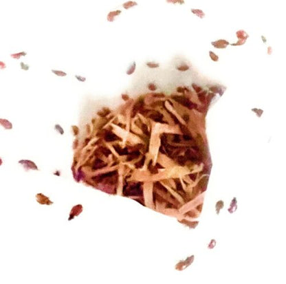 500 Live Ladybugs Organic Aphid And Spider Mite Control For Your Garden. - Regenerative Marketplace
