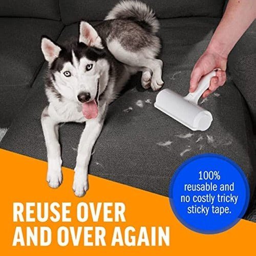 Reusable Dog Cat Pet Hair Remover Roller for Furniture, Couch, Carpet, Car Seat. - Regenerative Marketplace