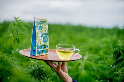 Dutch Harvest - Simply Hemp - Pure hemp tea for ultimate relaxation - Organic - Regenerative Marketplace