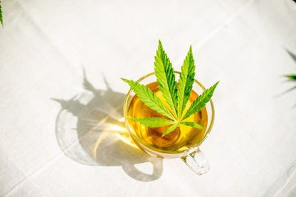 Dutch Harvest - Simply Hemp - Pure hemp tea for ultimate relaxation - Organic - Regenerative Marketplace
