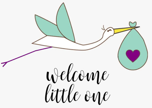 Organic full care new baby gift set - welcome little one! - Regenerative Marketplace