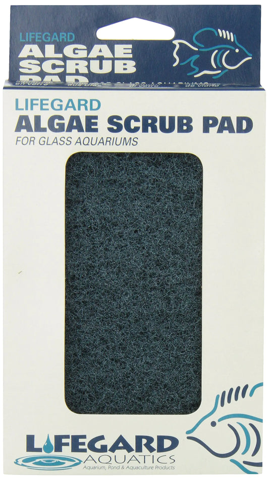 Lifegard Aquatics 4-Inch by 6-Inch Blue Algae PadBlack