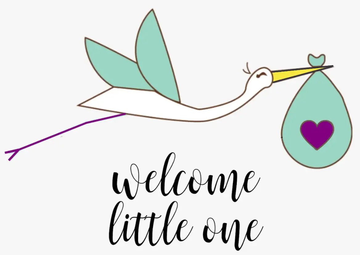 Organic new baby gift set - welcome little one! - Regenerative Marketplace